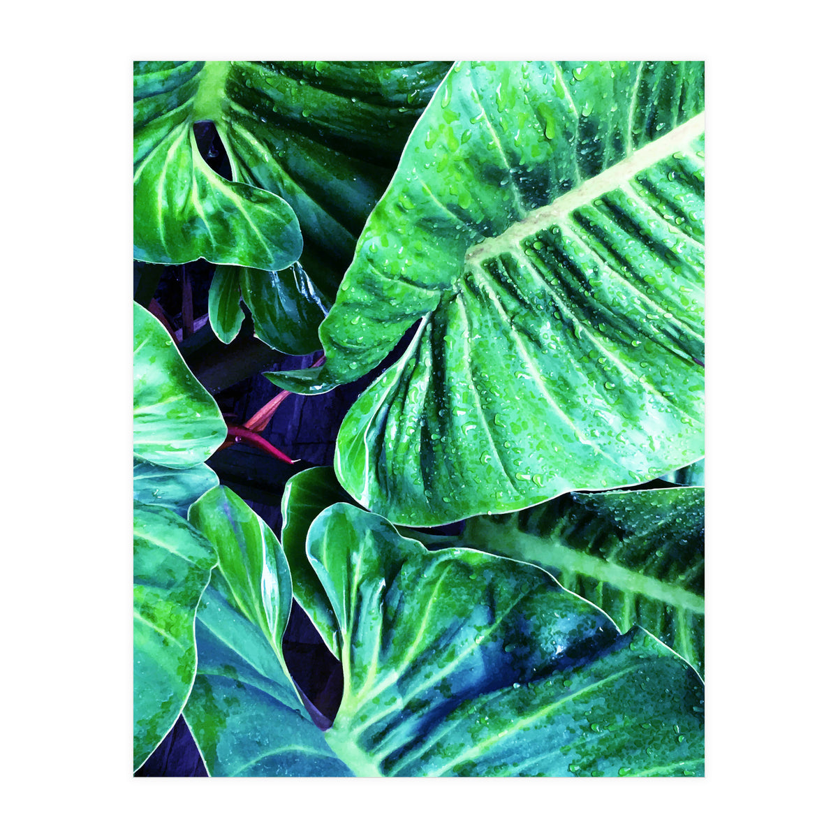 Another Botanical (Print Only)