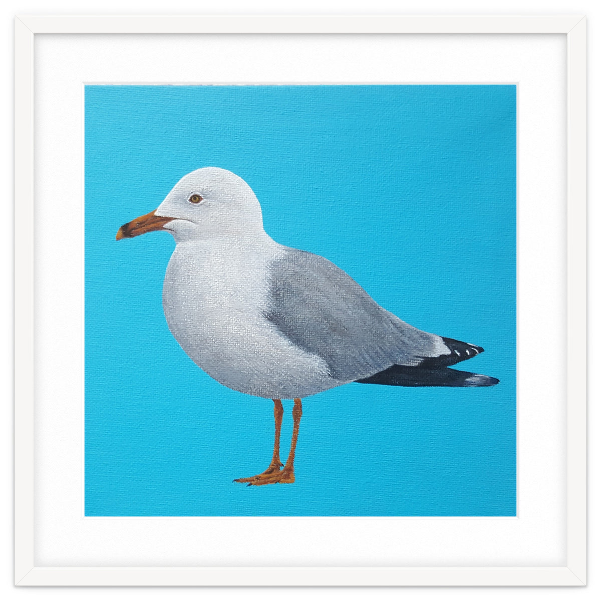 Seagull