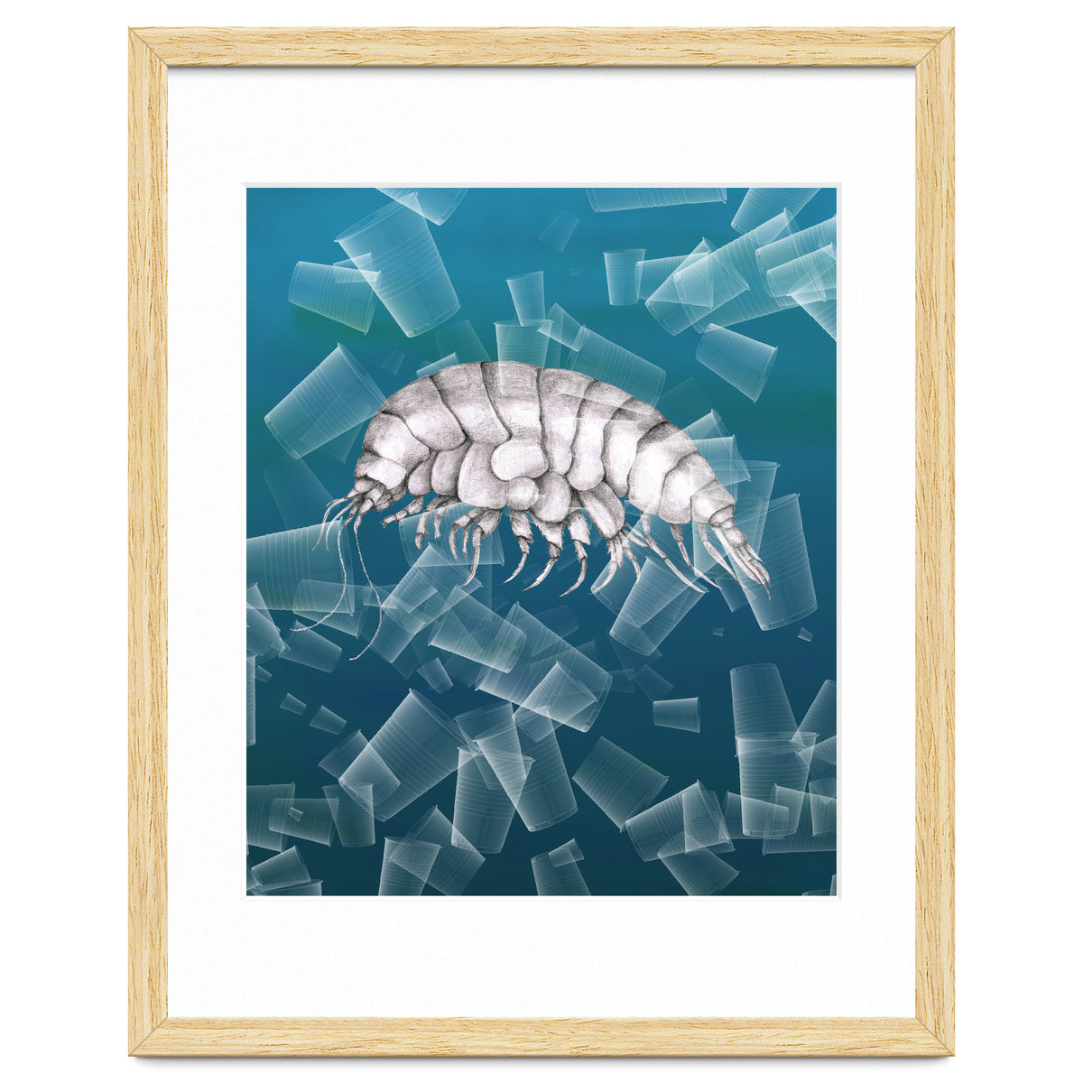 Eurythenes Plasticus