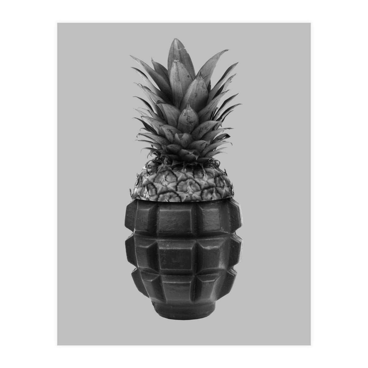 Grenapple (Print Only)