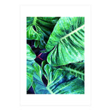 Another Botanical (Print Only) thumbnail