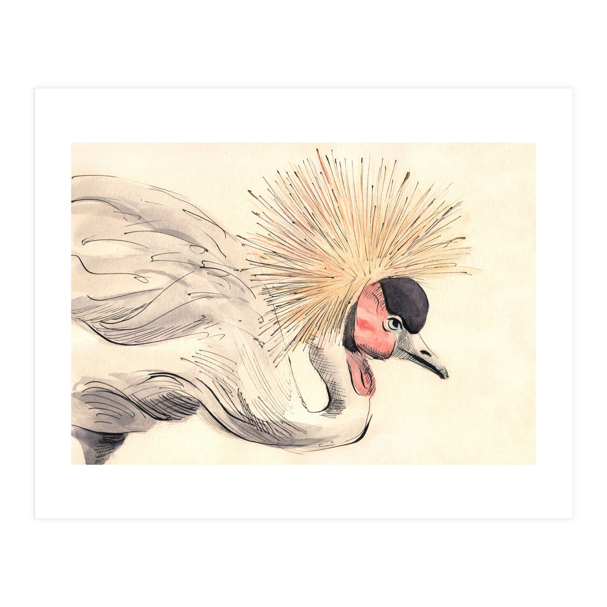 Crowned Crane (Print Only)