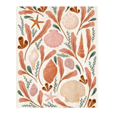 Shells Collection (Print Only) thumbnail