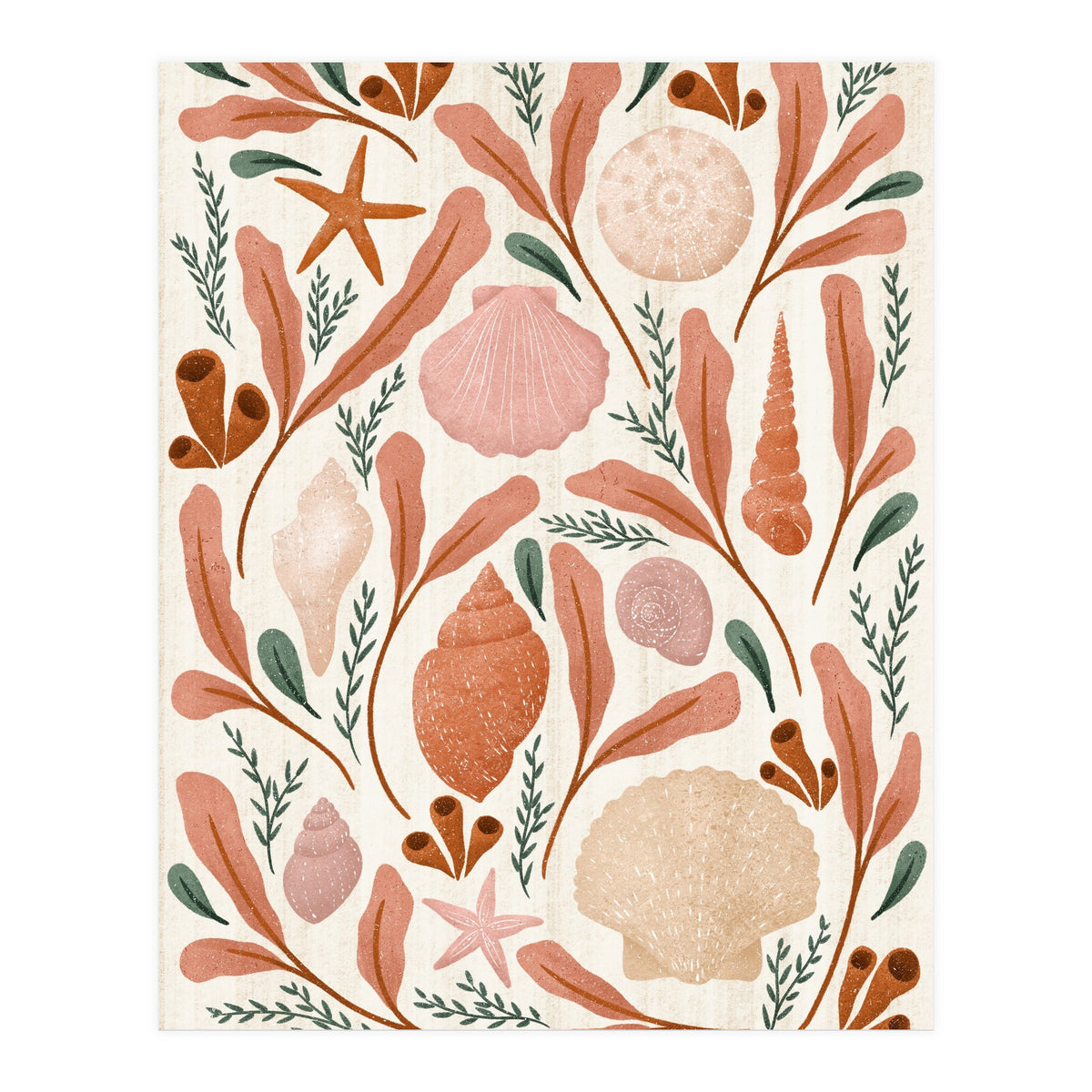 Shells Collection (Print Only)