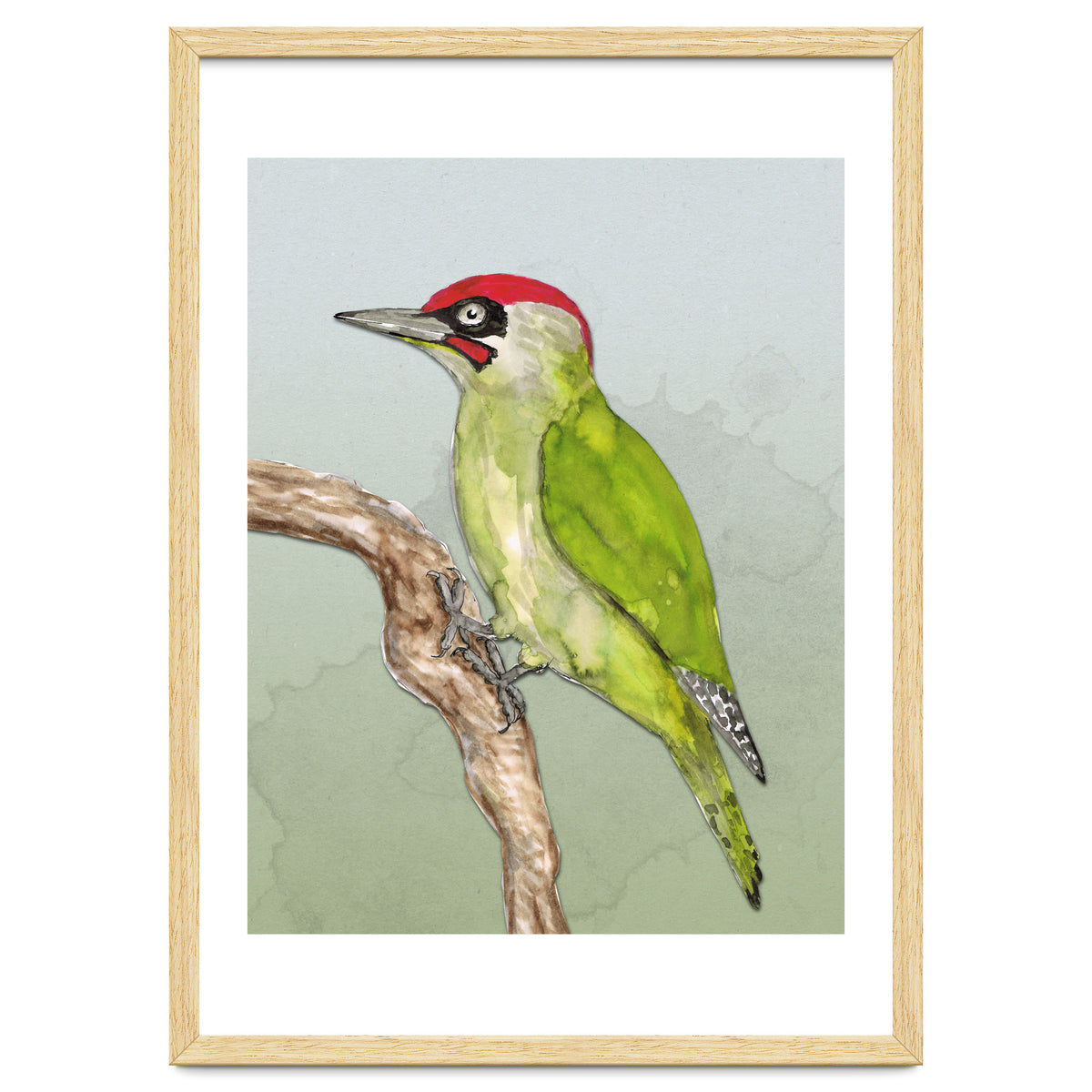 Green woodpecker