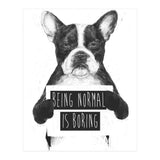Being Normal Is Boring (Print Only) thumbnail