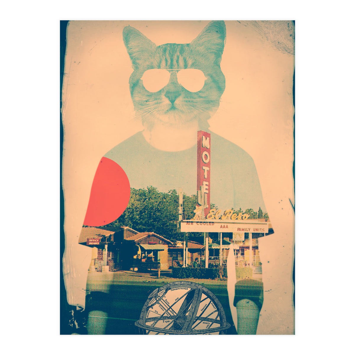 Cool Cat (Print Only)