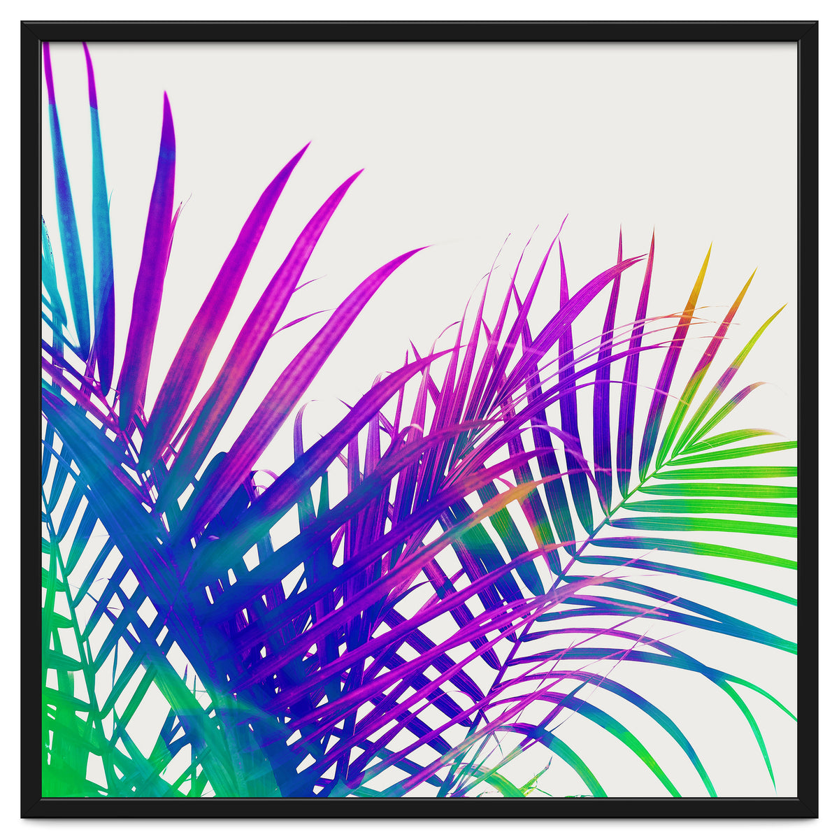 Colorful Palm