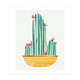 Bowl O' Cactus (Print Only) thumbnail