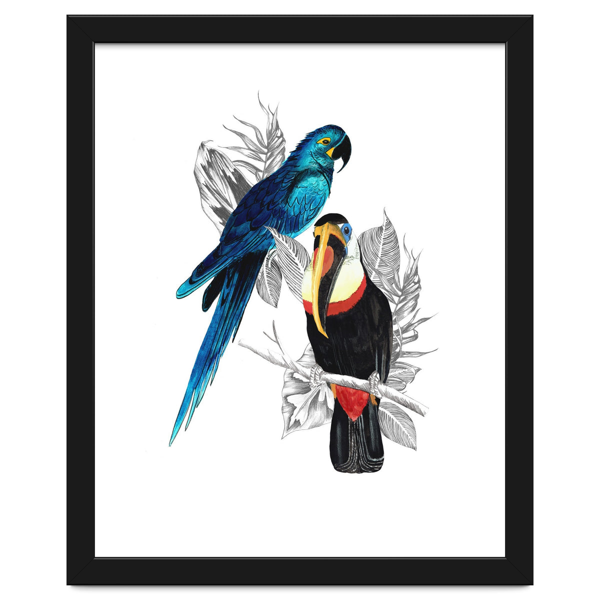 The Toucan and the Parrot