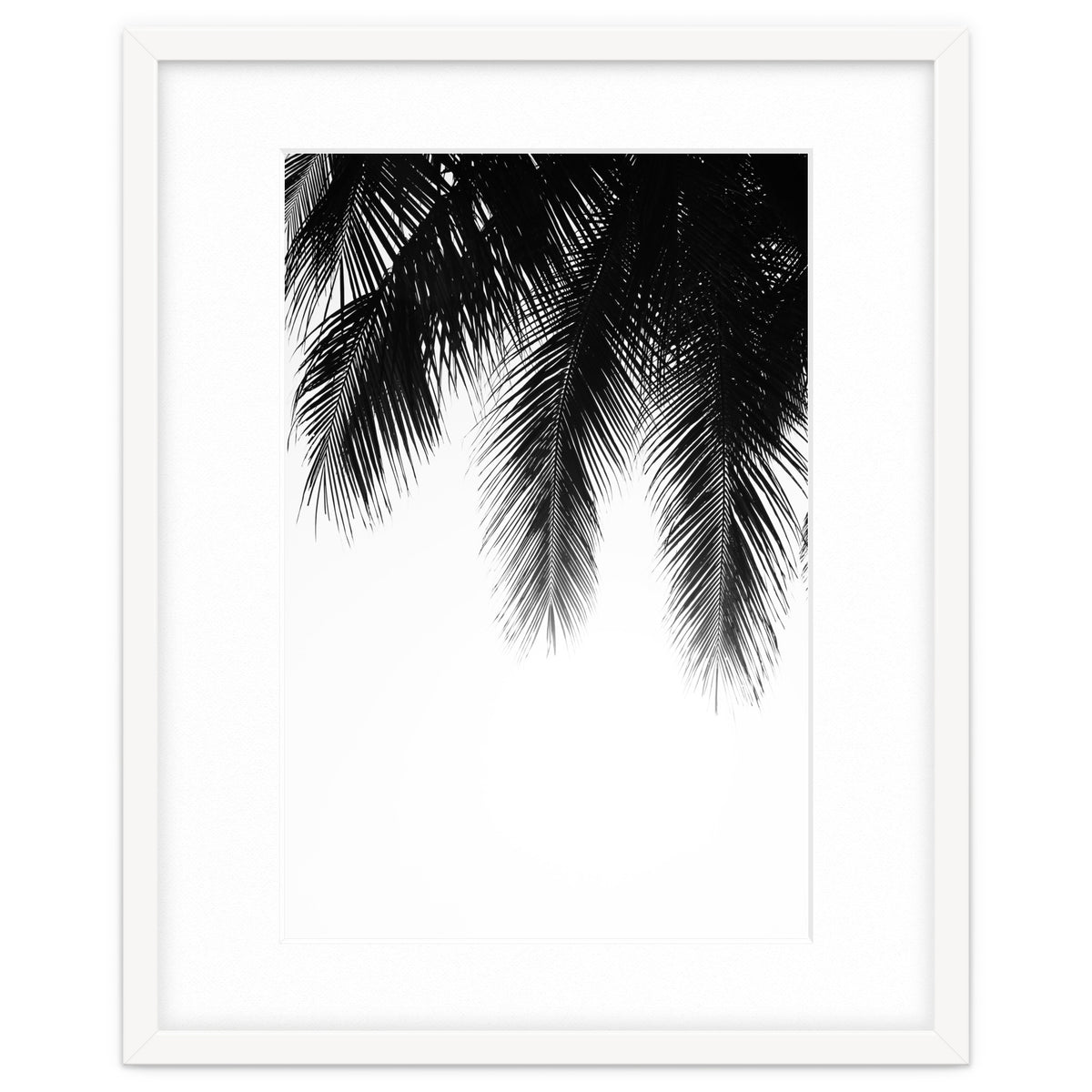 Palm leaves