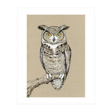 Great horned owl (Print Only) thumbnail