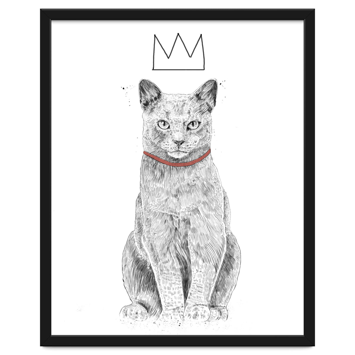 King Of Everything (bw)