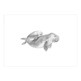 Dugongs no. 1 (Print Only) thumbnail