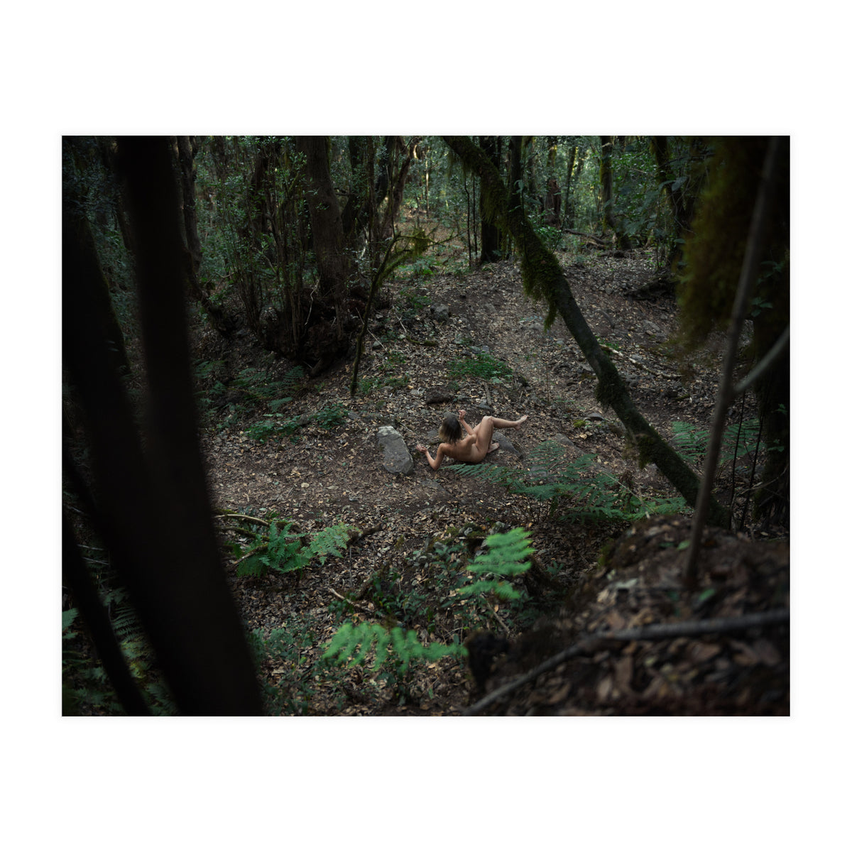 Into the Wild (Print Only)