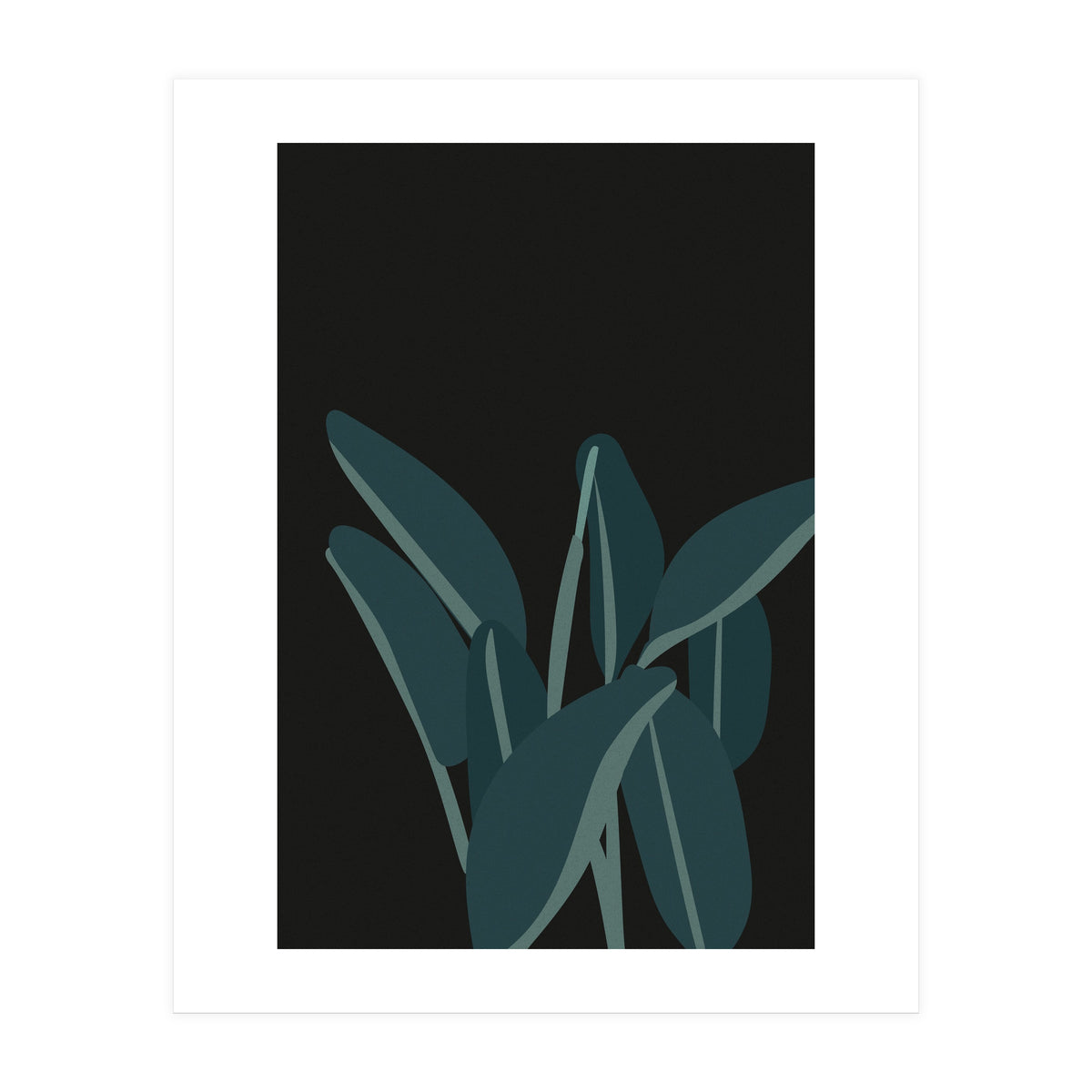 Bird Of Paradise (Print Only)