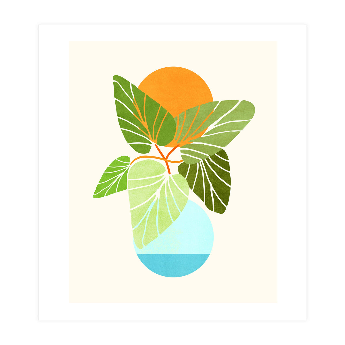 Tropical Symmetry II (Print Only)