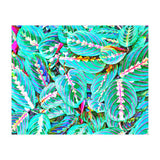 Let's find a beautiful place to get lost (Print Only) thumbnail