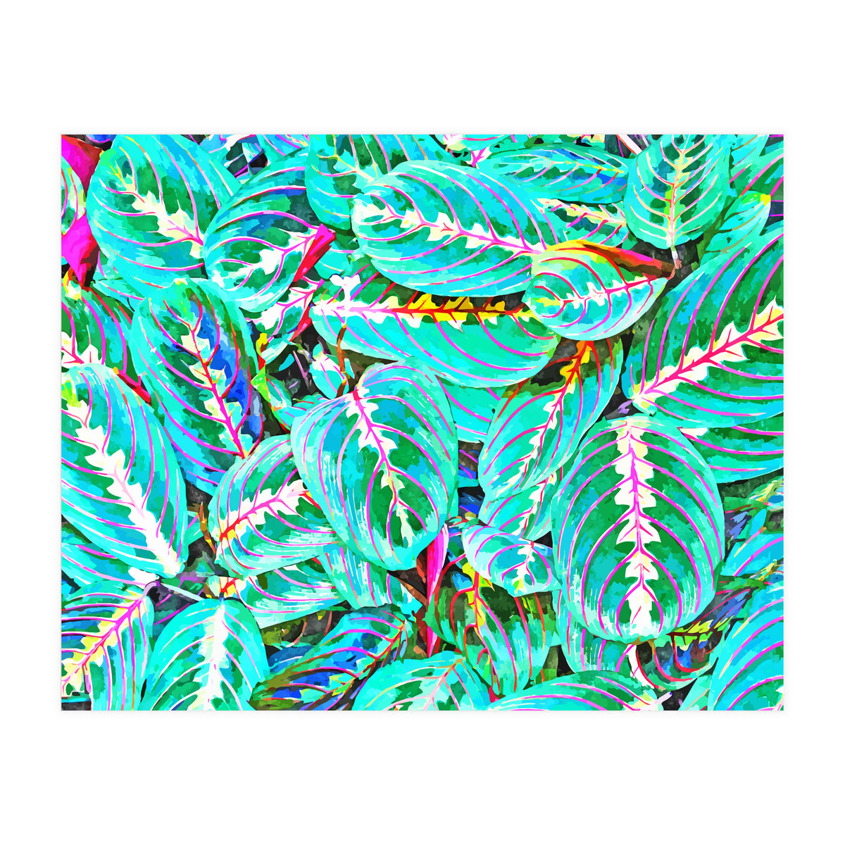 Let's find a beautiful place to get lost (Print Only)