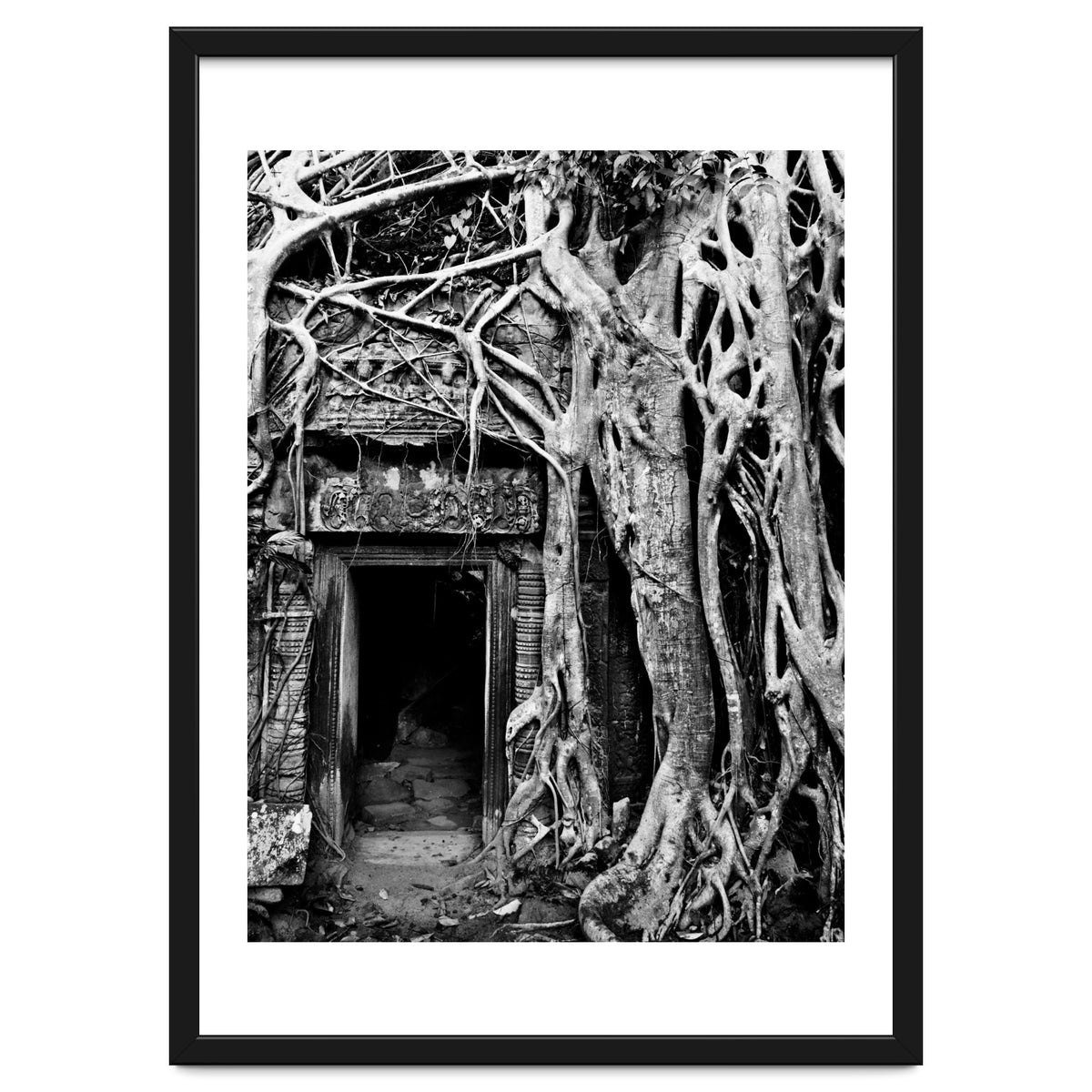 Ta Prohm Temple, Cambodia