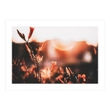 Nature (Print Only) thumbnail