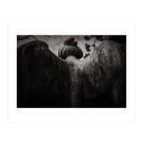 Angel Wings (Print Only) thumbnail