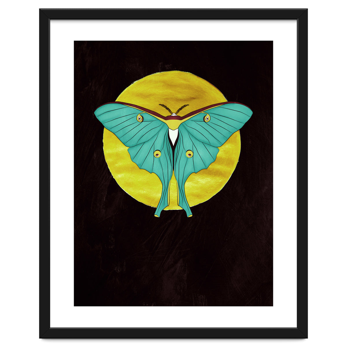 Luna Moth Moon