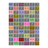Faces of an owl (Print Only) thumbnail