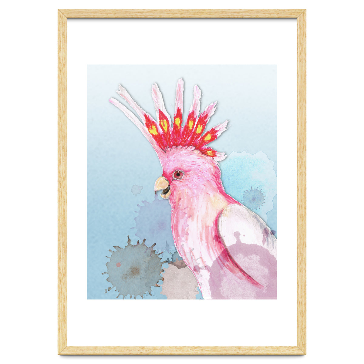 Major Mitchell's cockatoo