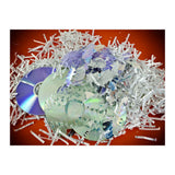 Destroyed information (Print Only) thumbnail