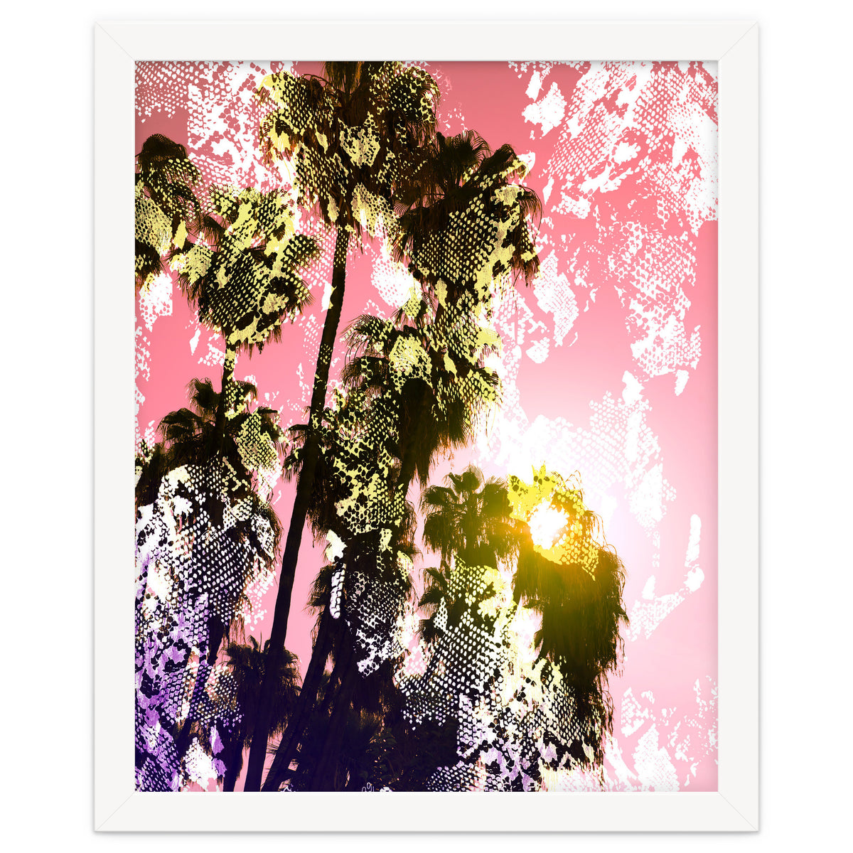 Snake sunset in paradise