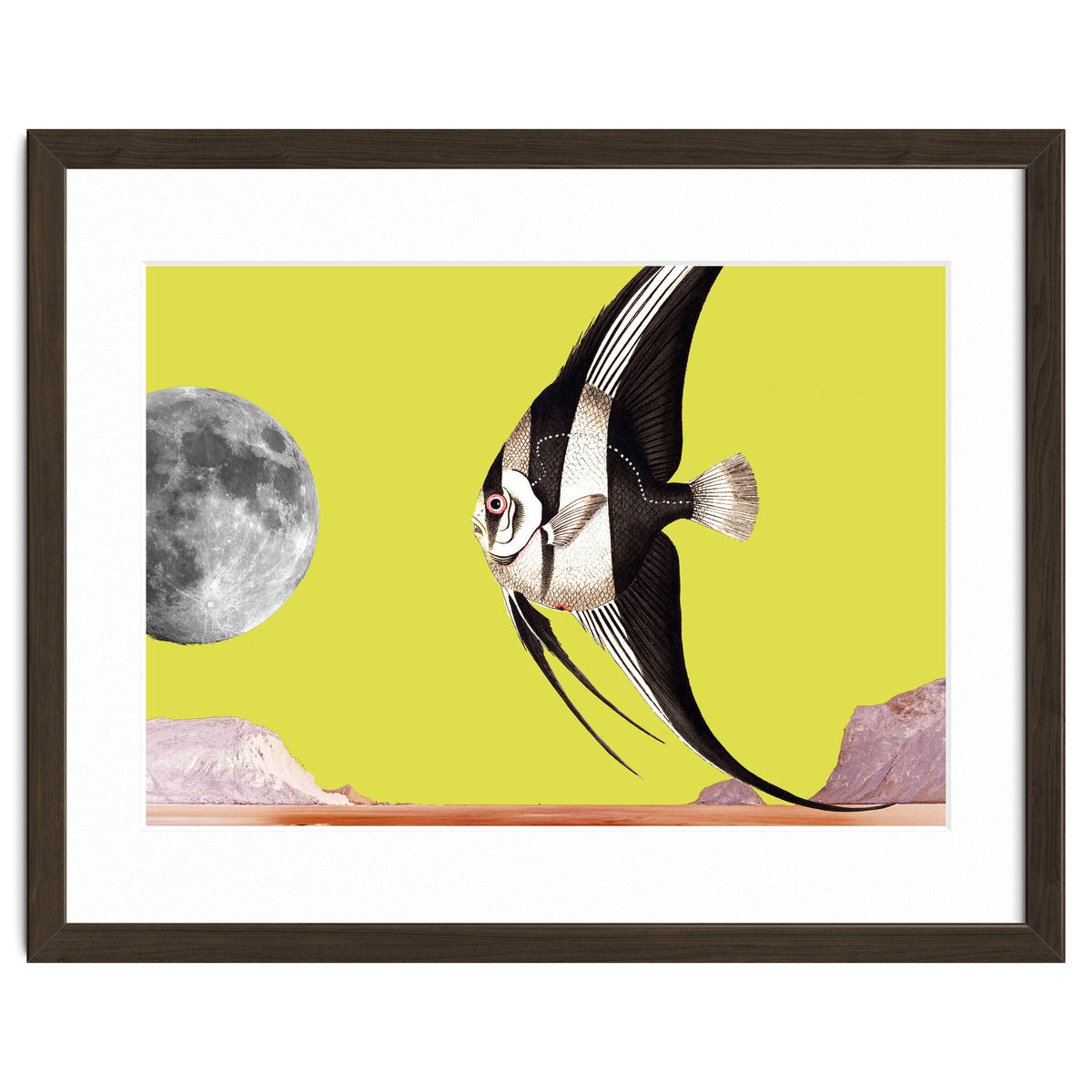 Plenty of fish in the sea yellow