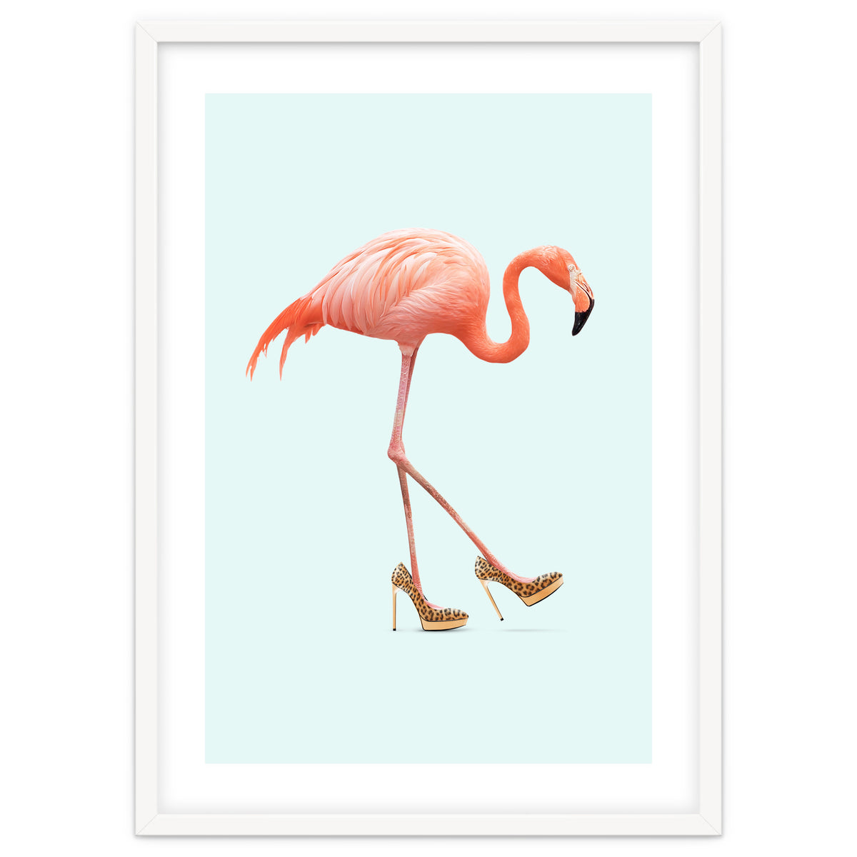 Fancy Flamingo