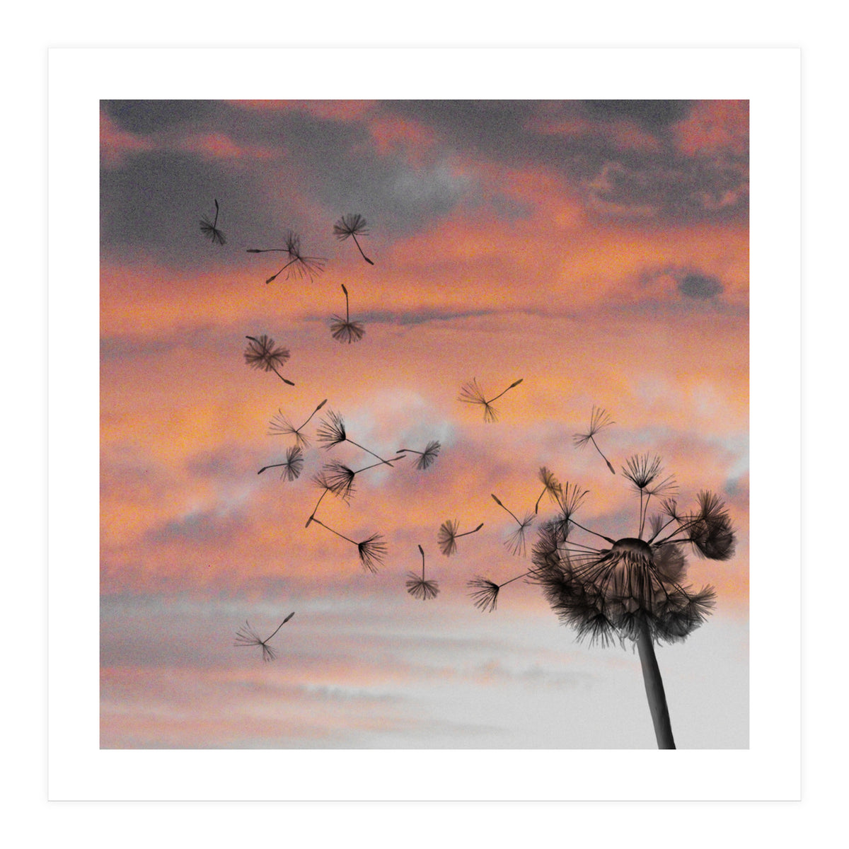 And The Days Went By (Print Only)