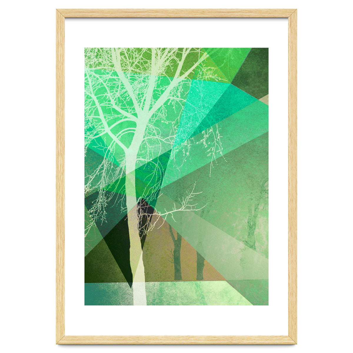 P22 B Trees And Triangles