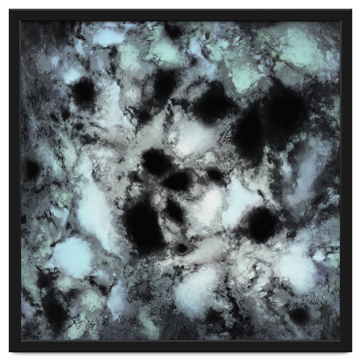 Searching For Animal Tracks