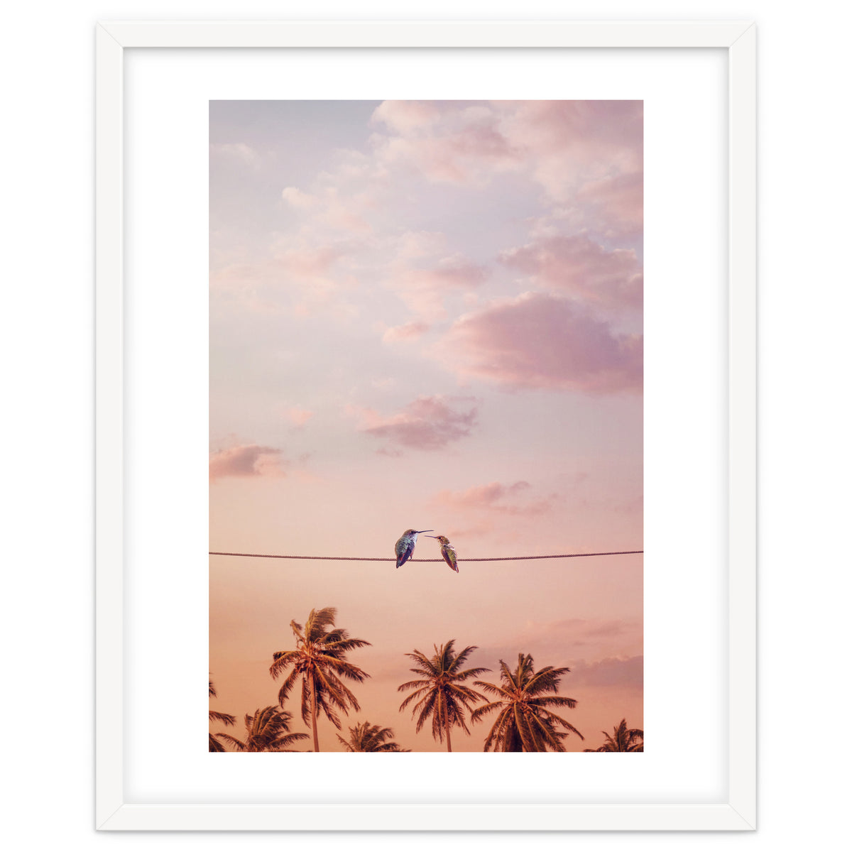 Hummingbirds In Love