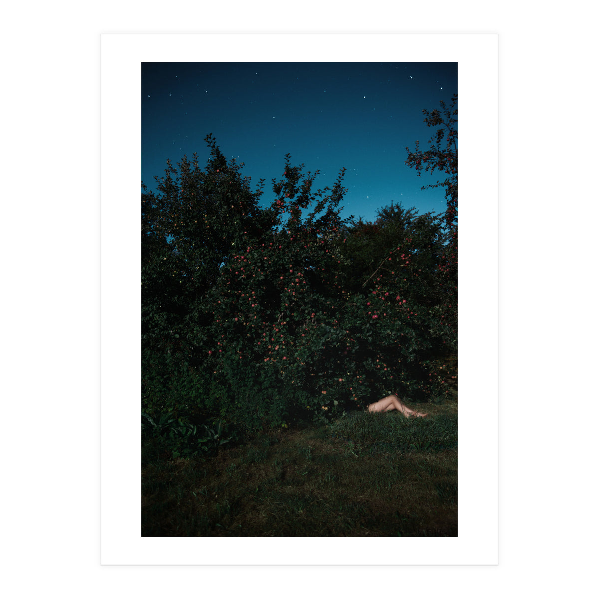 The Cider House Legs (Print Only)