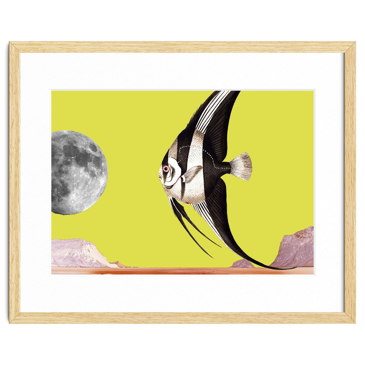 Plenty of fish in the sea yellow