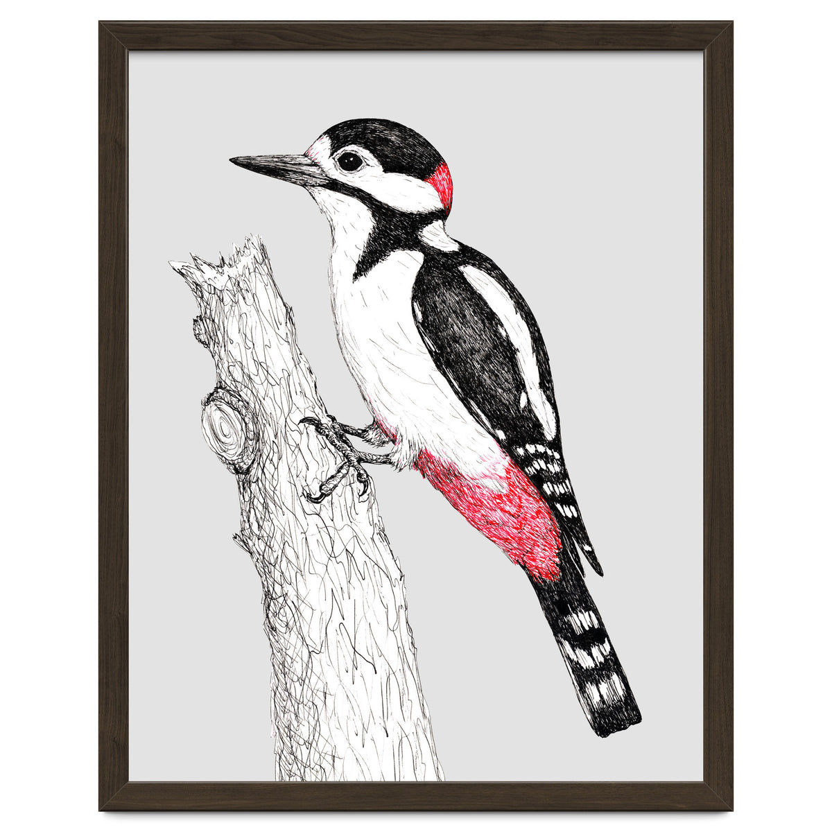 Great spotted woodpecker