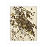 Great Horned Owl (Print Only) thumbnail