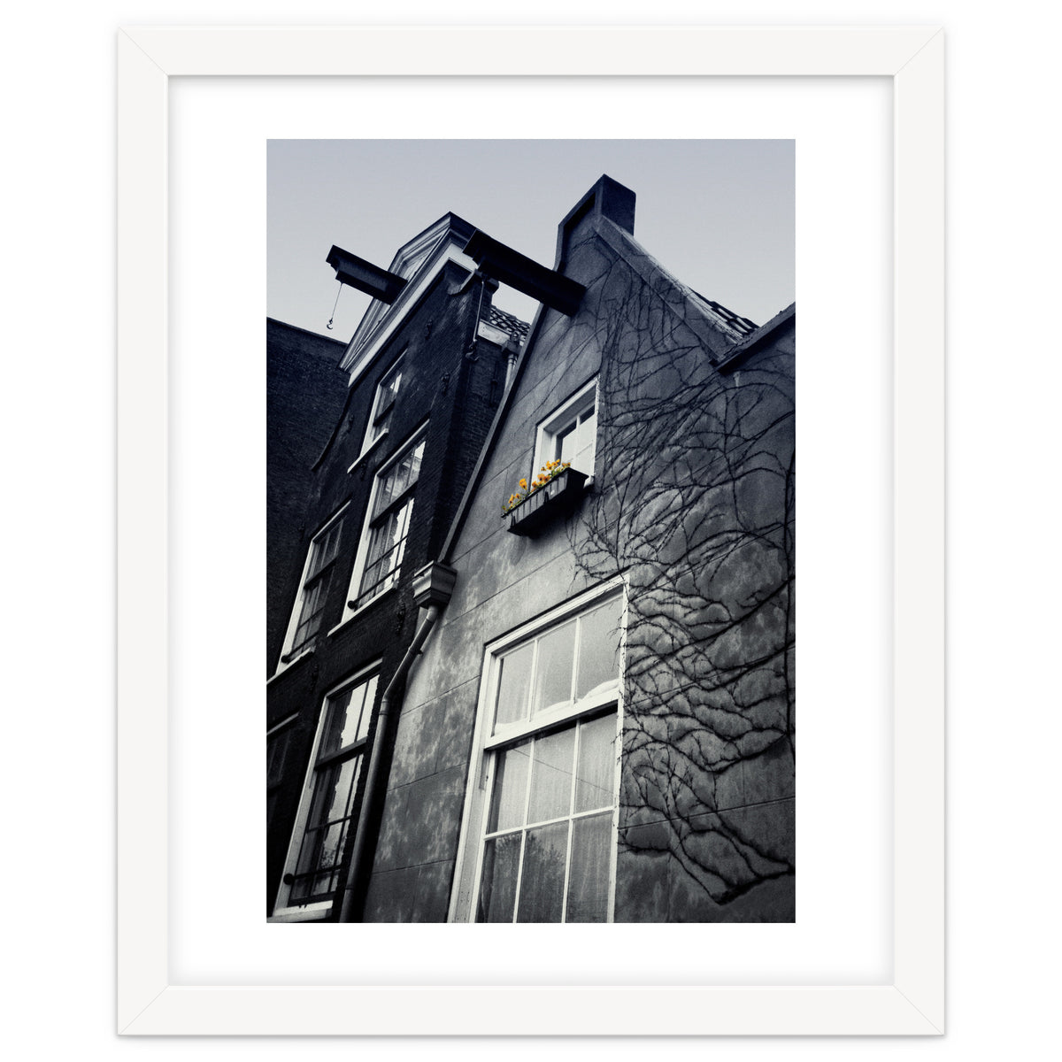 Amsterdam. House With Yellow Flowers.