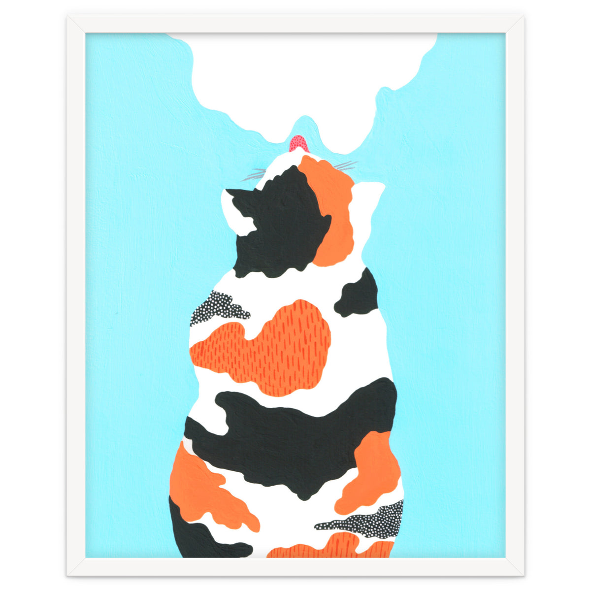 Tri Colored Calico Cat