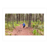 Into the forest (Print Only) thumbnail