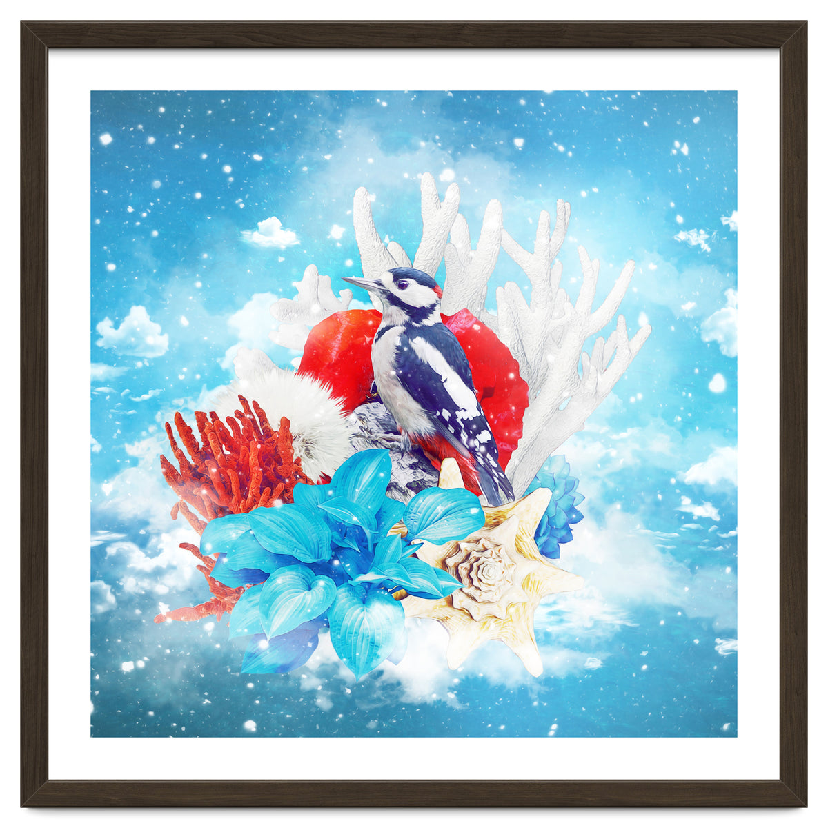 Floral Woodpecker In Winter