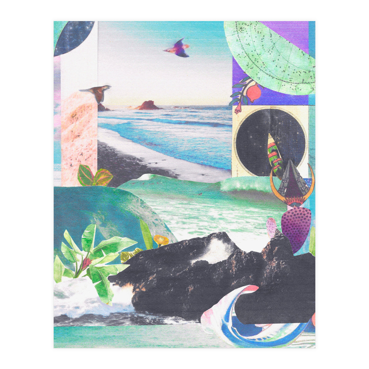 Beak Ruddy (Print Only)