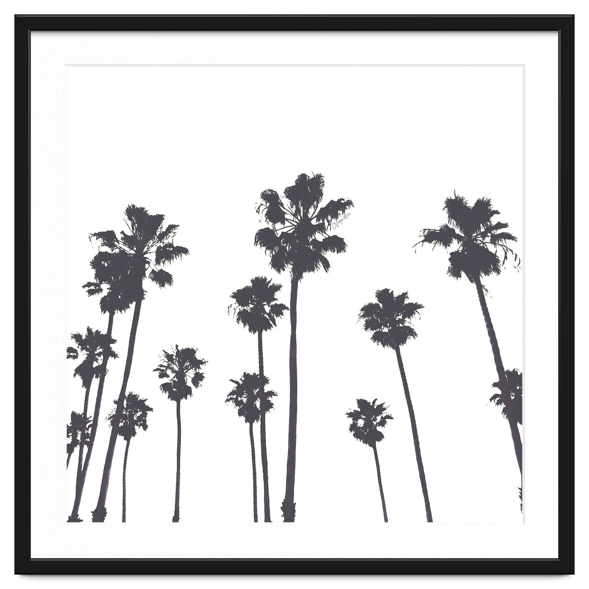Palms & Sunset-Minimal B&W
