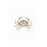 Crab (Print Only) thumbnail