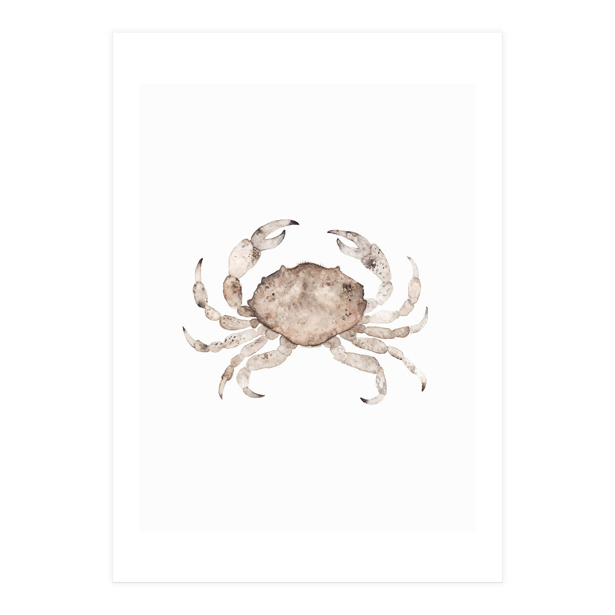Crab (Print Only)