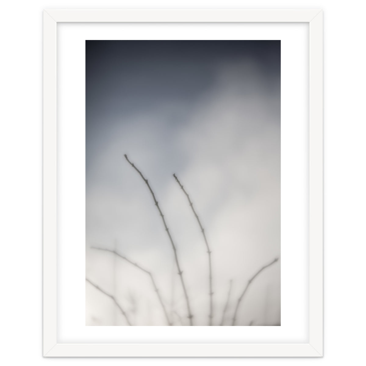 Forgotten Memories of summer #18